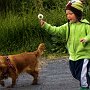 Akureyri Iceland. A boy a dog and a danylion